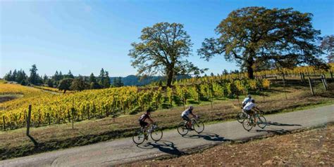 The Best of Bike Country: Sonoma County's Top 23 Cycling Routes (For ...