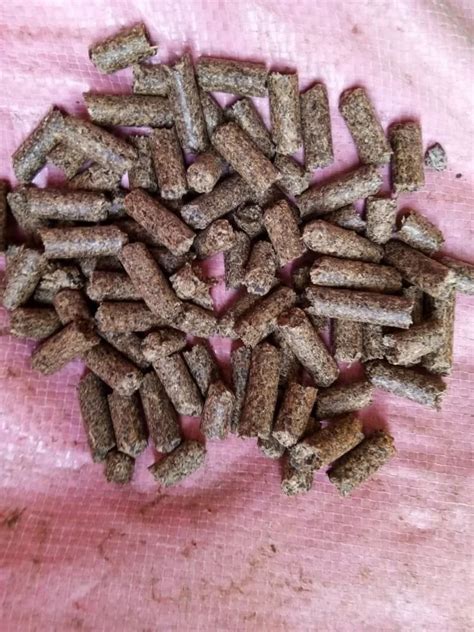 Mustard Straw Biomass Pellet At Rs Ton Bagasse Pellet In