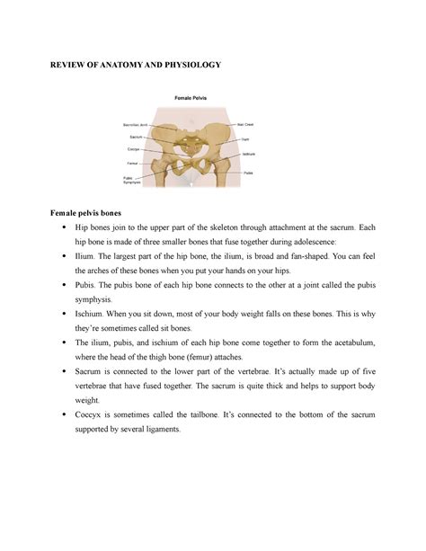 Review Of Anatomy And Physiology Musculoskeletal Final Review Of