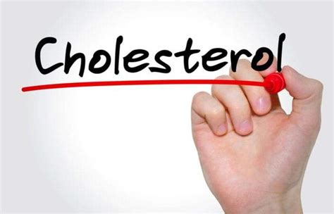 What Causes High Cholesterol And 10 Ways To Lower Your Cholesterol Me