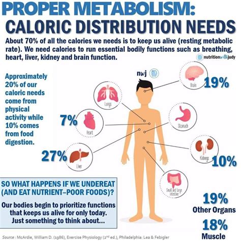 Microblog Obese People Have Faster Metabolisms Nutrition With Judy