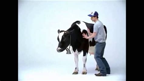 5 Weird Cow Commercials Youtube