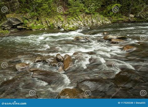 Clear Stream Rushing Over Boulders Stock Photo Image Of Season