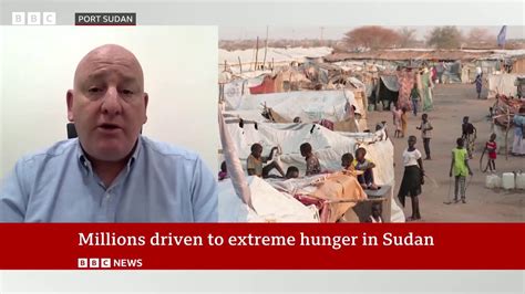 Sudan Millions Driven To Extreme Hunger One News Page VIDEO