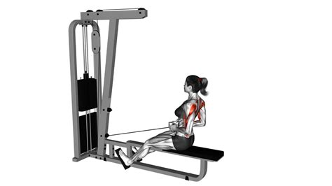 Cable Low Seated Row Ultimate Guide And Tips