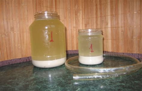 Кисель из овса - Со Вкусом