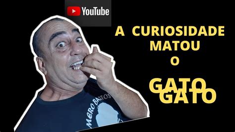 A Curiosidade Matou O Gato