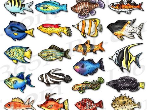 Tropical Reef Fish Clipart | Teaching Resources