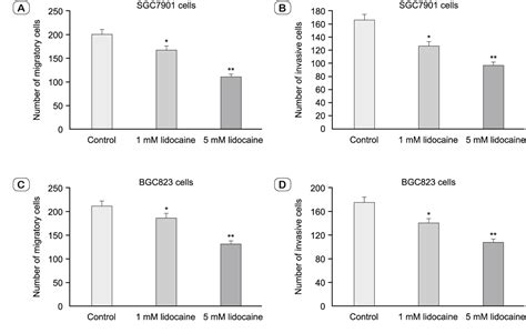 Figure 3 From Anti Tumor Effects Of Lidocaine On Human Gastric Cancer