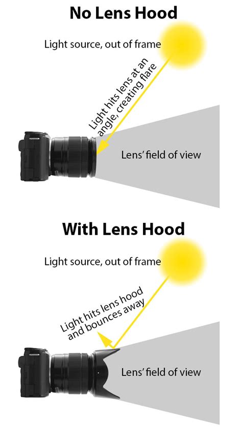 Why use a lens hood – Artofit