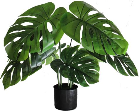 Monstera Kunstplant Cm Gatenplant Kunstplant Kunst Monstera