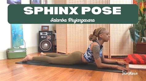 How To Sphinx Pose Salamba Bhujangasana Tips Modifications Youtube