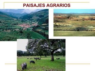 Paisajes Agrarios Ppt