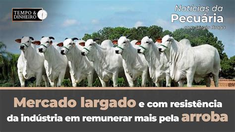 Boi Gordo Tem Mercado Largado E Resist Ncia Da Ind Stria Em