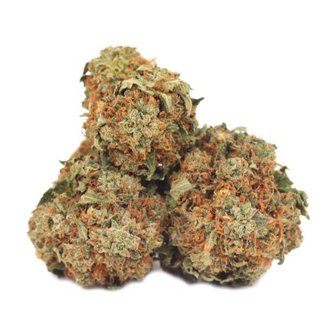 Order Pink Octane Strain Buy Weed At Bulk Buddy Online Dispensary