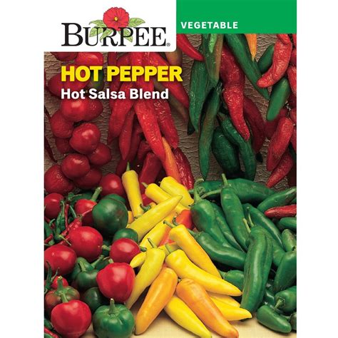 Burpee Hot Salsa Blend Hot Pepper Vegetable Seed 1 Pack