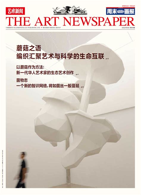 The Art Newspaper China - XIAOJING YAN