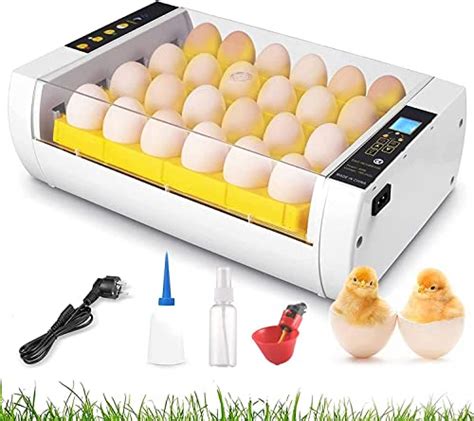 Couveuse à poussins et incubation artificielle fonctionnement et