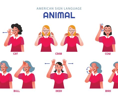 Asl Animal Character Set Vector Art & Graphics | freevector.com