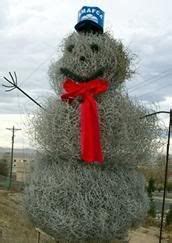 28 Tumbleweed Fun ideas | tumbleweed, fun, texas tumbleweed