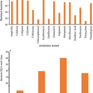 Antibiotic resistance profile (A) and Multiple Antibiotic Resistance ...