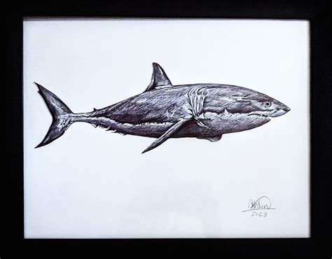 Original Art Print Shark Etsy