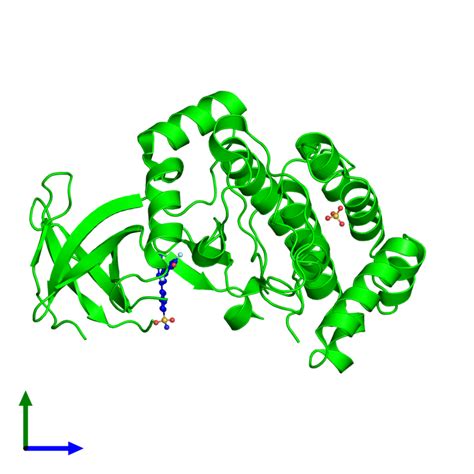 Pdb Ncg Gallery Protein Data Bank In Europe Pdbe Embl Ebi