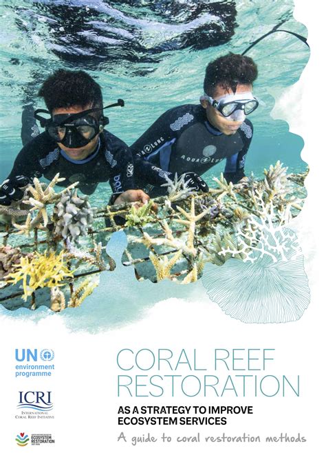 Coral reef restoration as a strategy to improve ecosystem services | UN ...