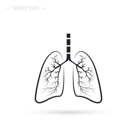 Radiografía Del Pulmón Imágenes De Stock De Arte Vectorial Depositphotos