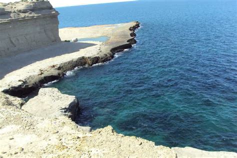 Da Puerto Madryn Tour Di Un Giorno Della Penisola Di Valdes GetYourGuide