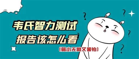 韦氏智力报告解析好奇孩子的智商，妈妈带8周岁男孩做了韦氏测试 知乎