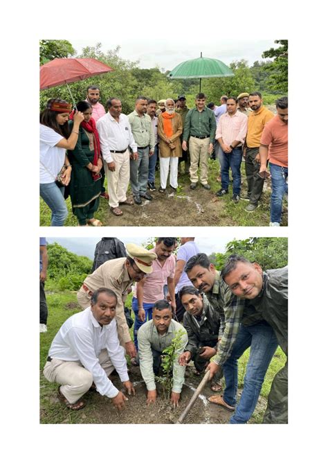 उत्तराखण्ड जैव विविधता बोर्ड द्वारा हरेला पर्व के अवसर पर गुजराडा में