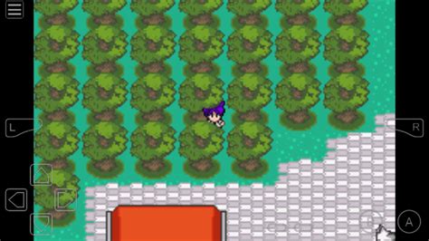 Pokemon Emerald Walk Through Walls