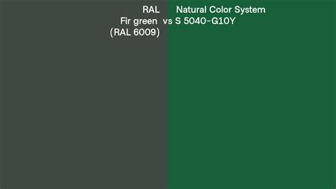 Ral Fir Green Ral 6009 Vs Natural Color System S 5040 G10y Side By