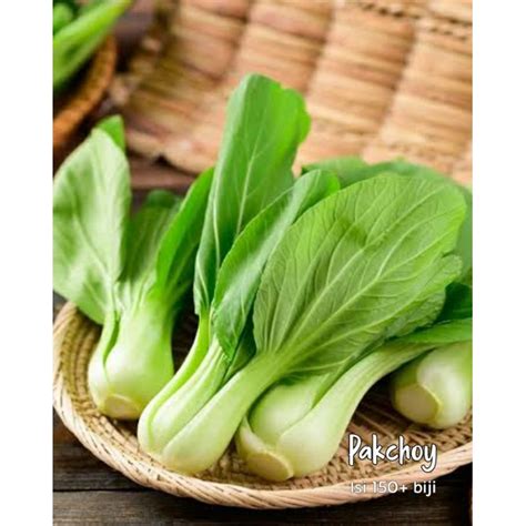 Jual Pakchoy Benih Sayur Premium Shopee Indonesia