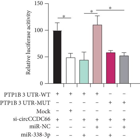 CircCCDC66 Increased PTP1B Expression By Sponging And Inhibiting