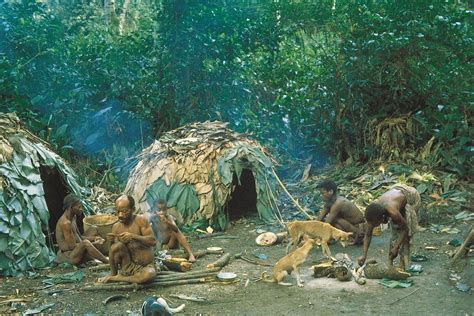 Ituri Forest Pygmies Bantu Rainforest Britannica