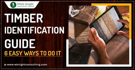 Timber Identification Guide - 6 Easy Ways to Identify Wood