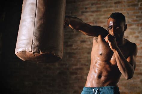 boxing   rules styles techniques