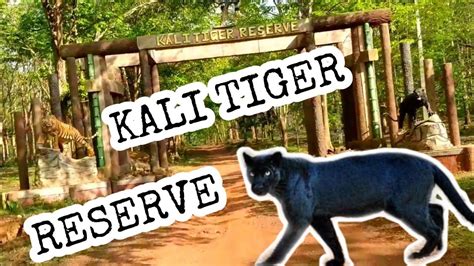 Kali Tiger Reserve Ll Dandeli Ll Karnataka Ll Part 5 Youtube