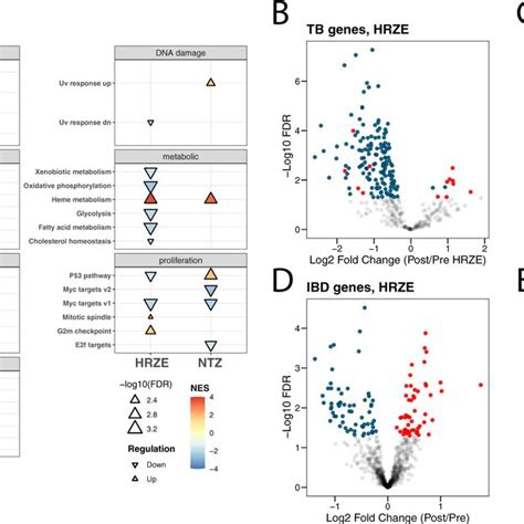 Hallmark Pathway Gene Set Enrichment Analysis And Gene Expression Download Scientific Diagram