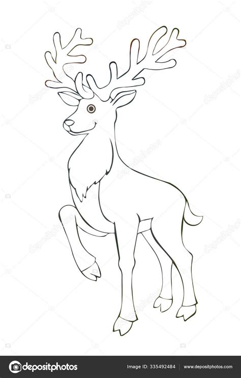 Illustration Ink Drawing Black Outline Animal Isolated White Background ...