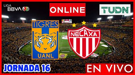 Tigres Vs Necaxa En Vivo Jornada 16 Liga Mx Clausura 2024 Narracion