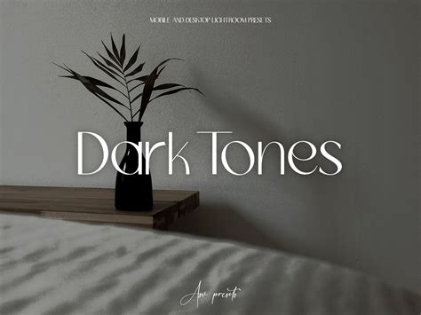 dark tones lightroom presets asv presets