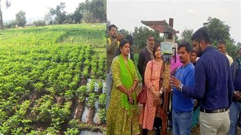 Jharkhand Couple Became Model Farmers Leaving The Multinational Job