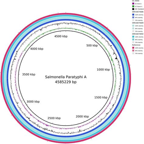 Antibiotic Resistance Pattern Of Isolated Salmonella Species