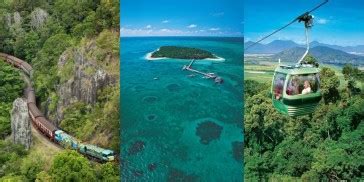 Cairns Rainforest Tours | Everything Cairns