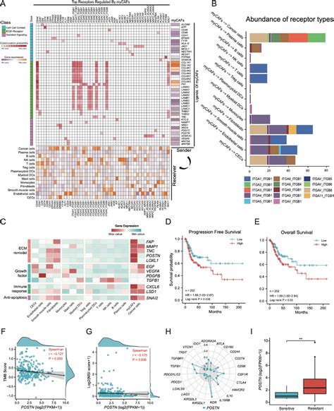 Functional Analysis Of Mycafs In Cscc A Ligandreceptor Communication