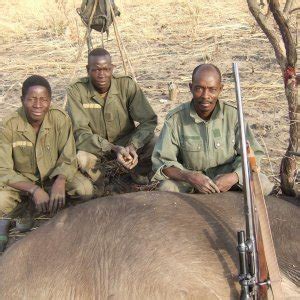 Buffalo Hunting | AfricaHunting.com