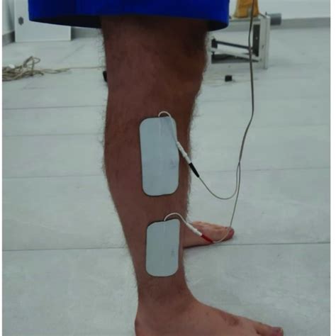 Electrodes Placement Download Scientific Diagram